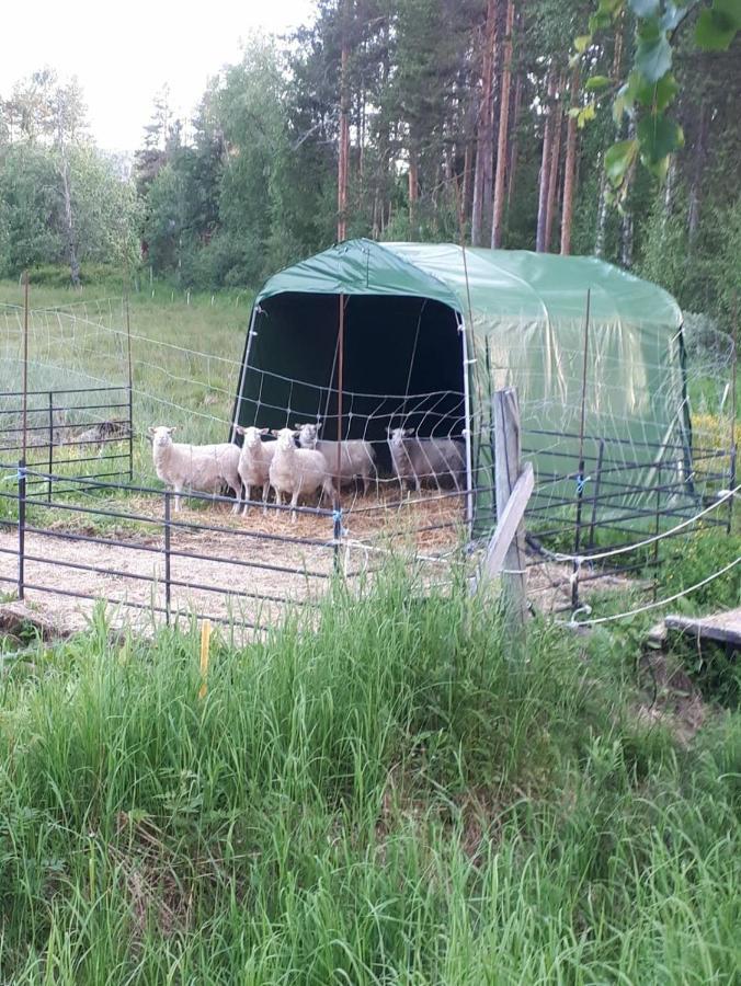 Skabram Bed & Breakfast Jokkmokk Ngoại thất bức ảnh